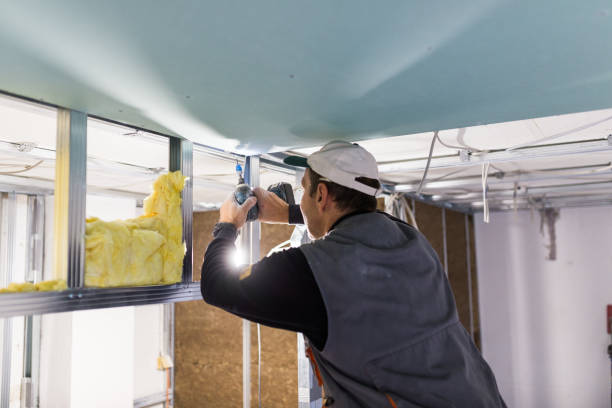 Professional Insulation Contractor in Bayview, CA